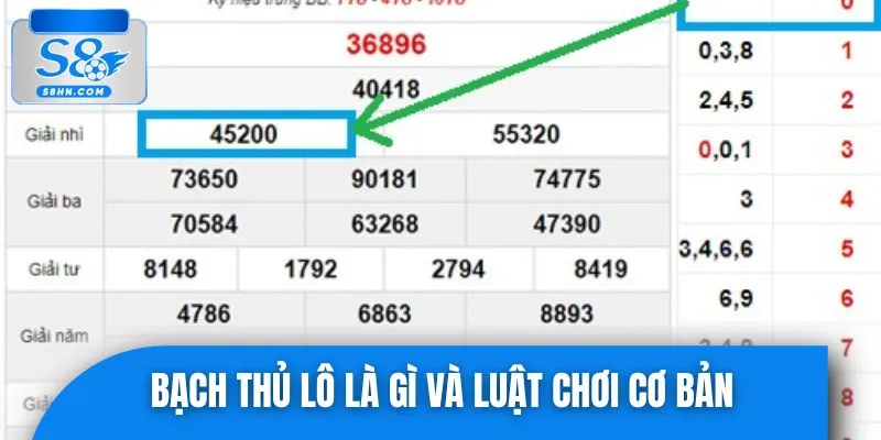 Tìm hiểu tổng quan về trò chơi cược số bạch thủ lô